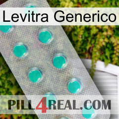 Levitra Generic 28